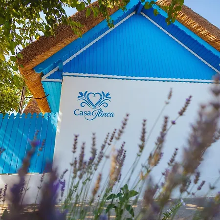 Guest house Casa Ilinca 4*