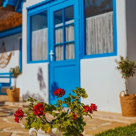 Casa Ilinca Guest house