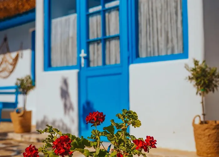 Casa Ilinca Guest house